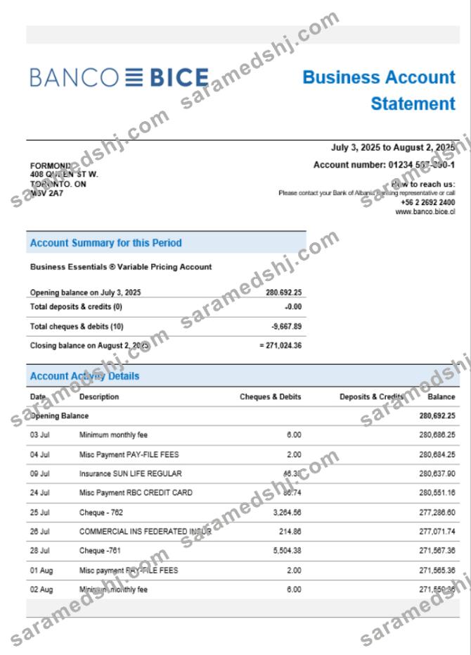 Chilean Banco Bice business firm account bank statement Word and PDF format